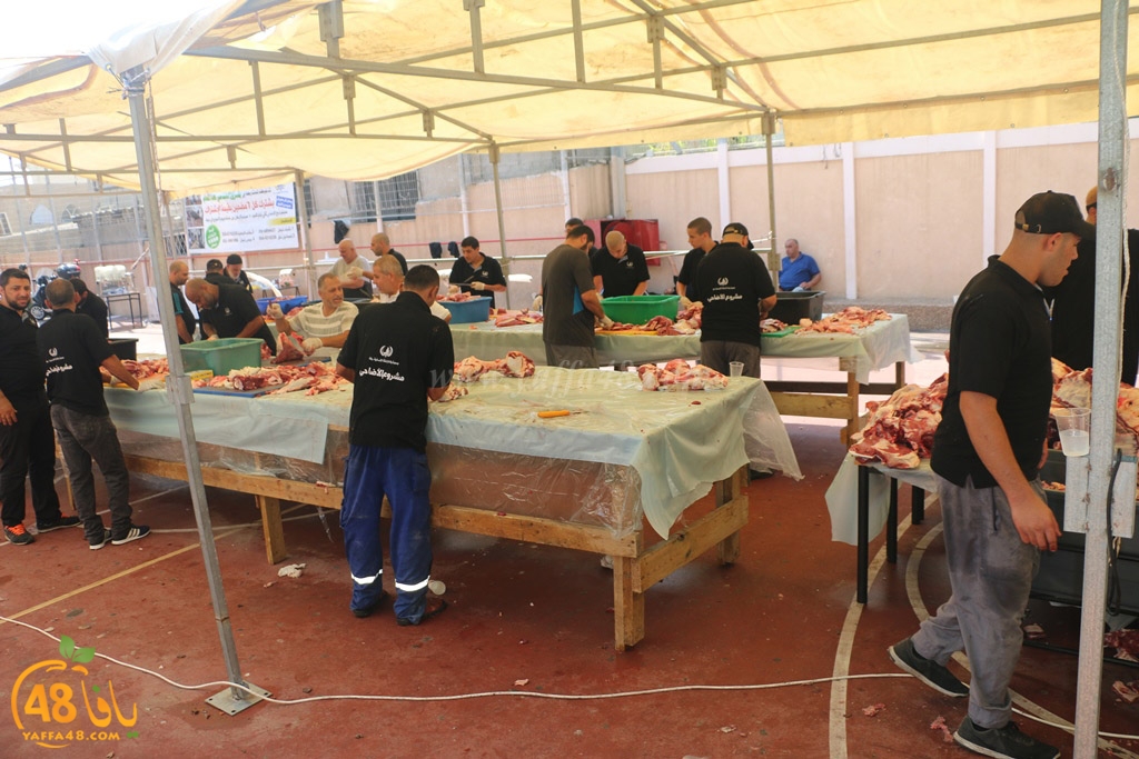 ada7y forthei (127).JPG